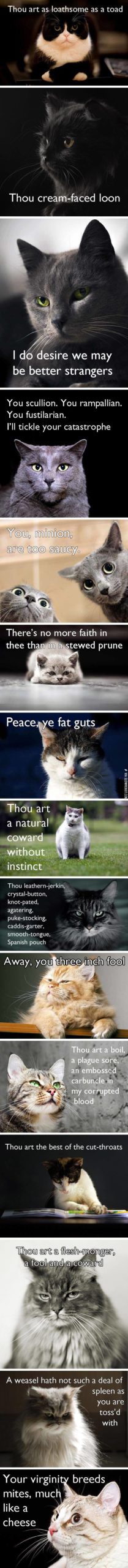 Shakespearean+insults+to+unleash+in+everyday+life