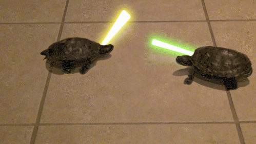 Star+Wars%3A+Turtle+edition.