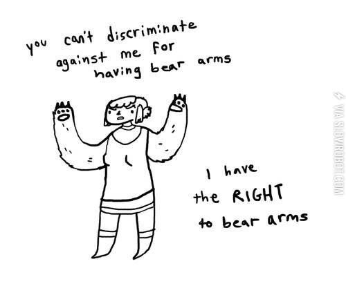 I+have+the+right+to+bear+arms.