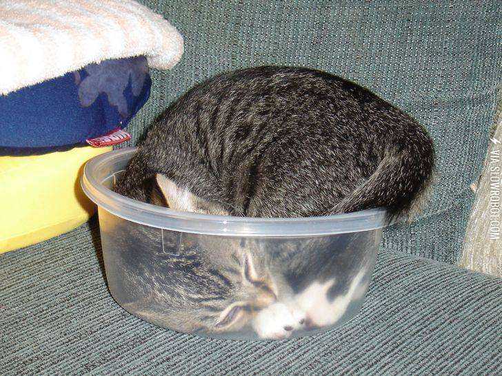 I+think+we+need+a+bigger+bowl