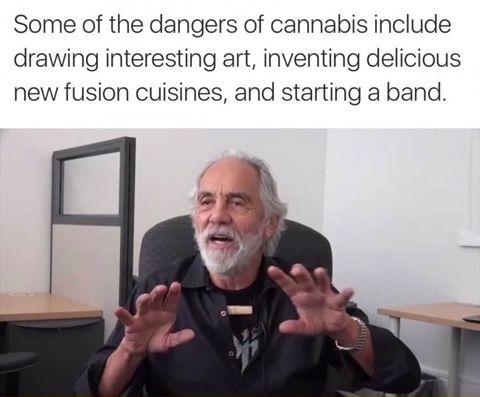 Tommy+Chong+just+explained+the+awesome+dangers+of+Cannabis