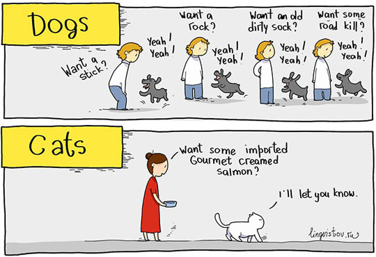 Dogs+vs.+cats