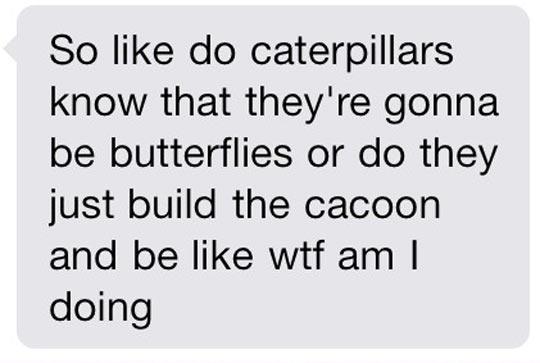 I%26%238217%3Bve+always+wondered+this