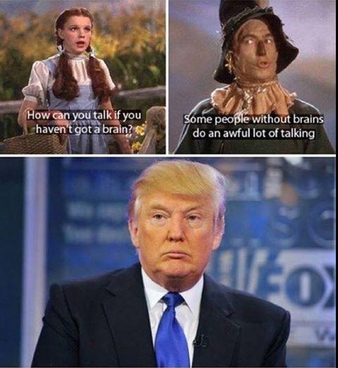 Guys%26%238230%3B.+Let%26%23039%3Bs+build+a+wall%26%238230%3B