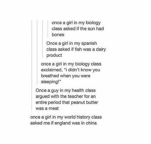 Ok%2C+there+are+some+stupid+questions