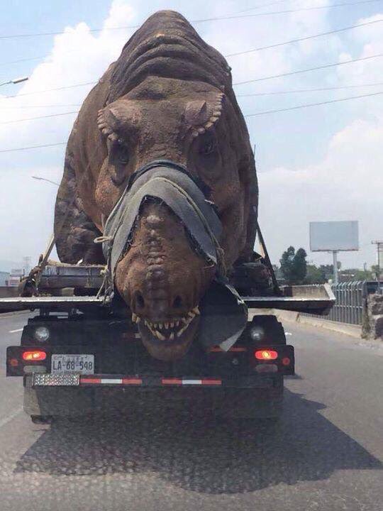 A+dinosaur+prop+tied+to+a+truck