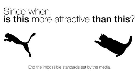 You%26%238217%3Bll+never+win.