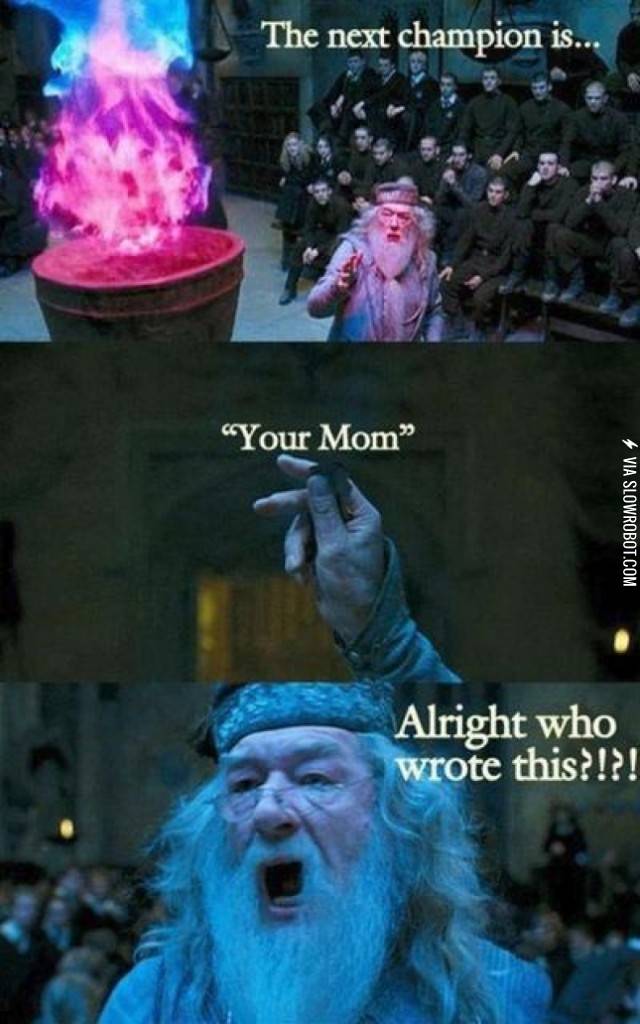 Harry+Potter+and+the+Goblet+of+Your+Mom.