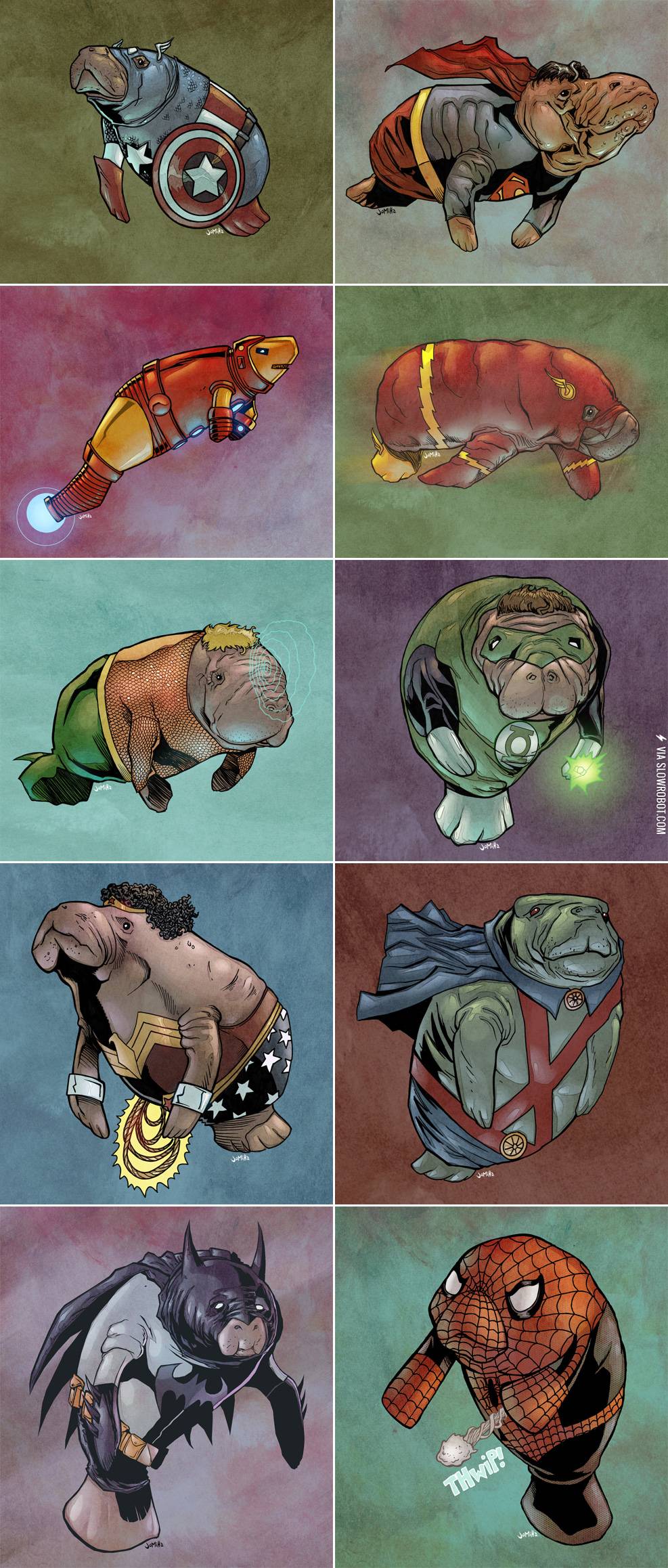 The+amazing+manatee%21