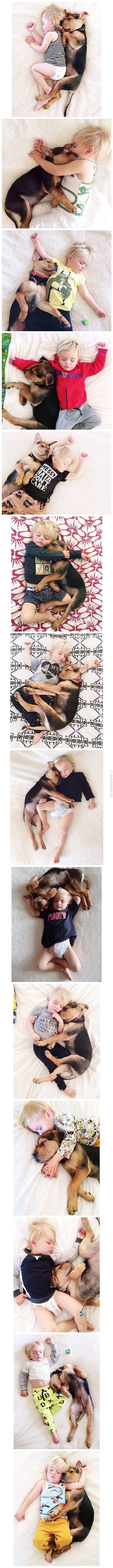 A+toddler+and+his+dog.