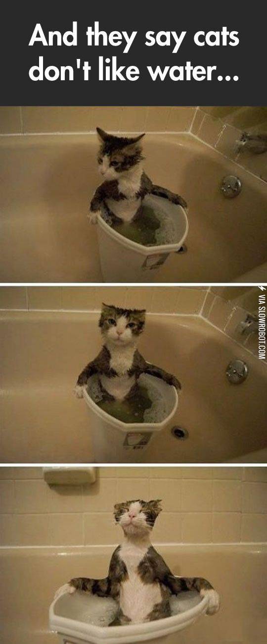 It%26%238217%3Bs+so+relaxing%26%238230%3B