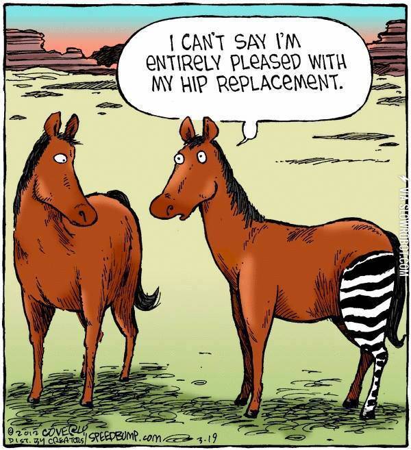 Hip+replacement.