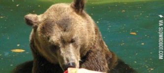 Summer+popsicles.