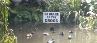 Beware+Of+The+Crocs