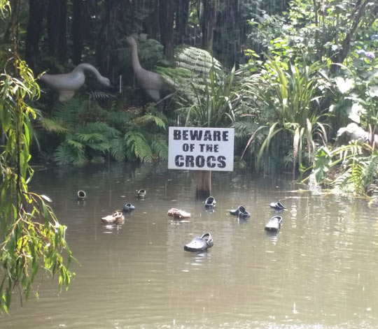 Beware+Of+The+Crocs