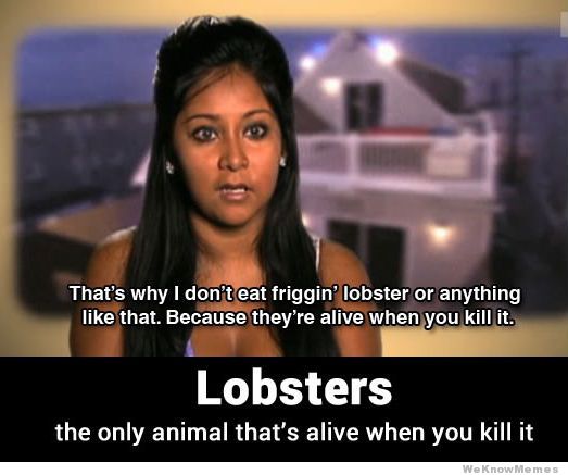 Why+i+don%26%238217%3Bt+eat+lobster.