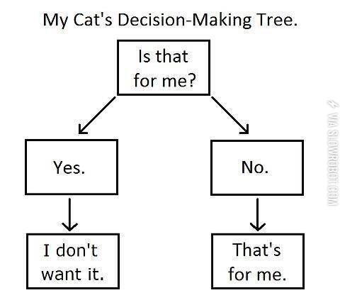 My+cat%26%238217%3Bs+decision-making+tree.