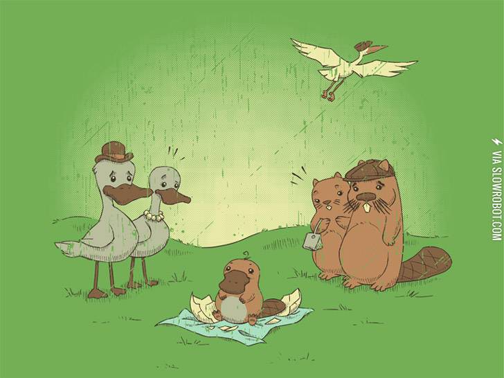 Well+this+is+awkward%26%238230%3B