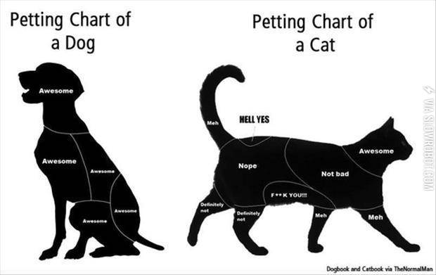 Petting+Chart