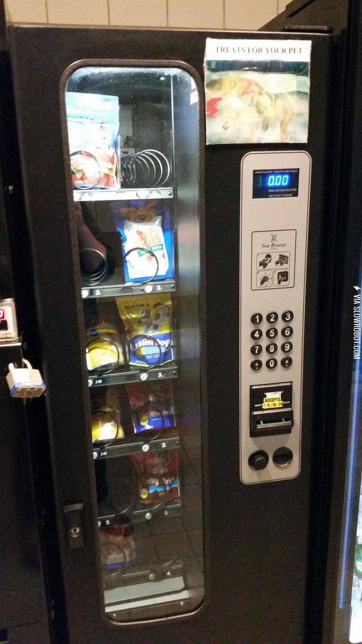 This+rest+stop+has+a+vending+machine+for+dogs