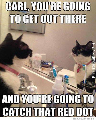 Everyone+needs+some+motivation.