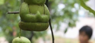 Buddha+Pears