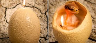 Dinosaur+egg+candle