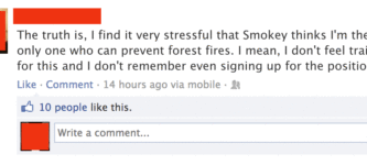 Only+you+can+prevent+forest+fires.