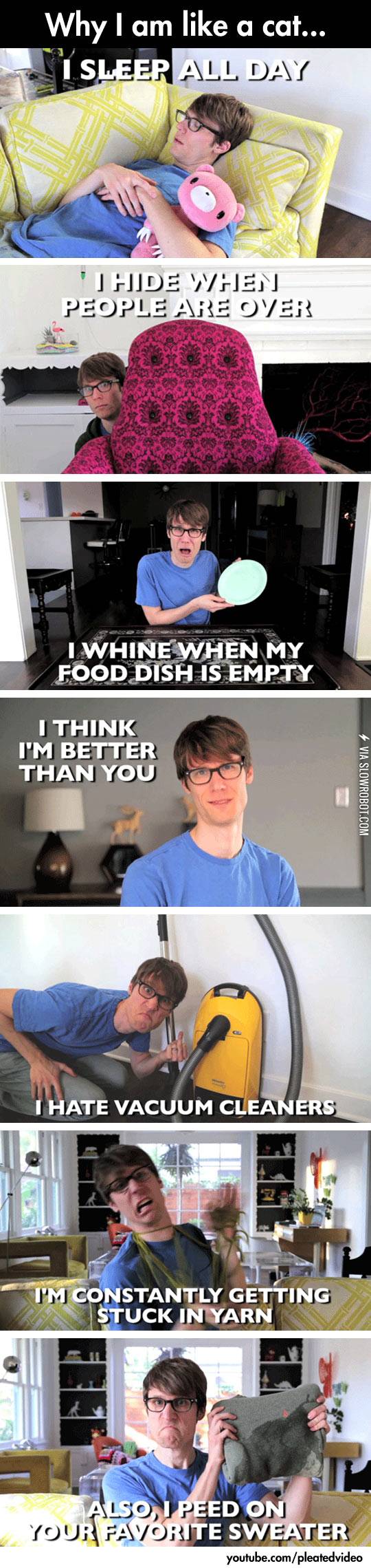 Why+I%26%238217%3Bm+like+a+cat.