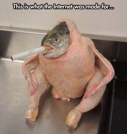 What+It+Was+Made+For