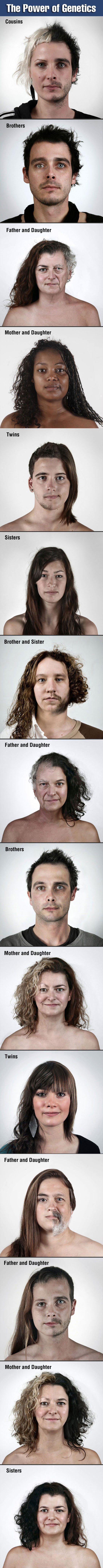 Simple+Genetics