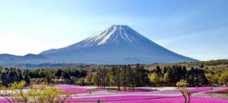 Fuji+Mountain+%26%238211%3B+Japan