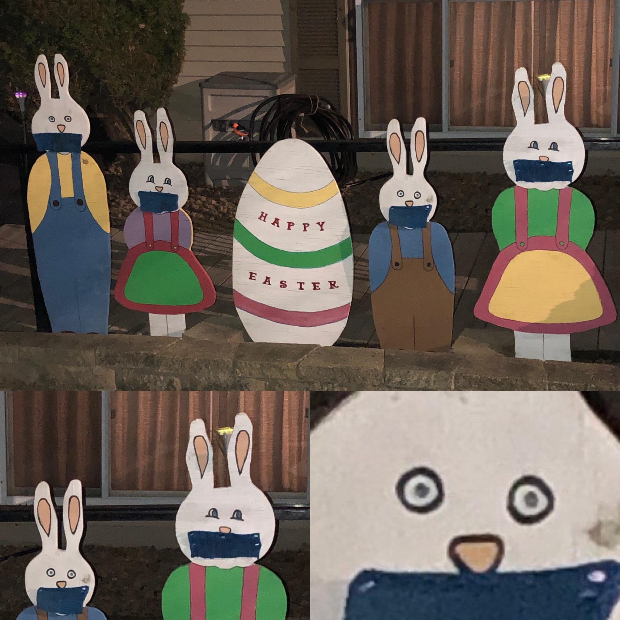 quarantine+bunnies+or+easter+hostages%3F