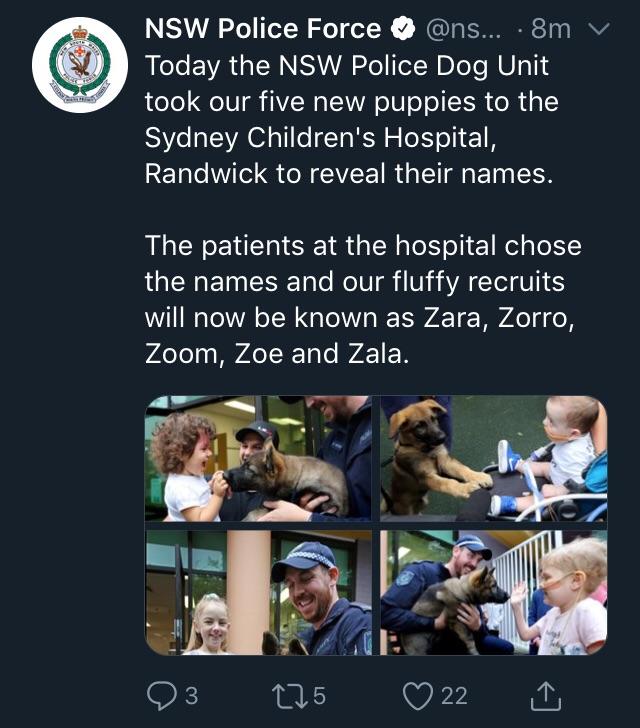 Police+let+kids+in+hospital+pick+the+Police+Dogs%26%238217%3B+names