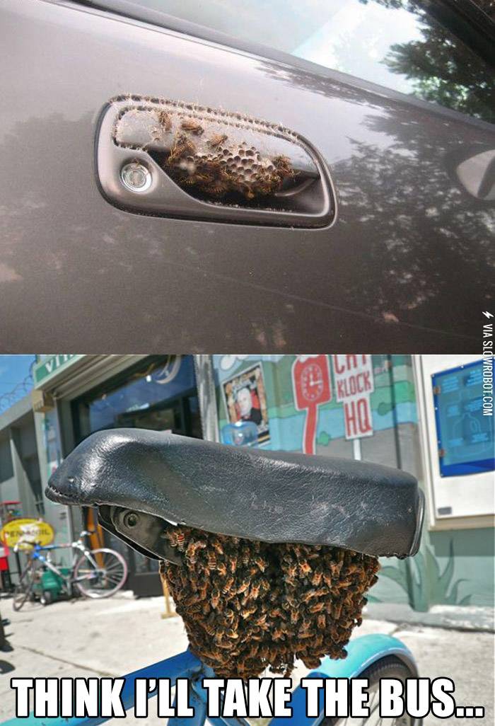 Think+I%26%238217%3Bll+take+the+bus%26%238230%3B