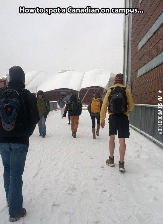 How+to+spot+a+Canadian+on+campus.