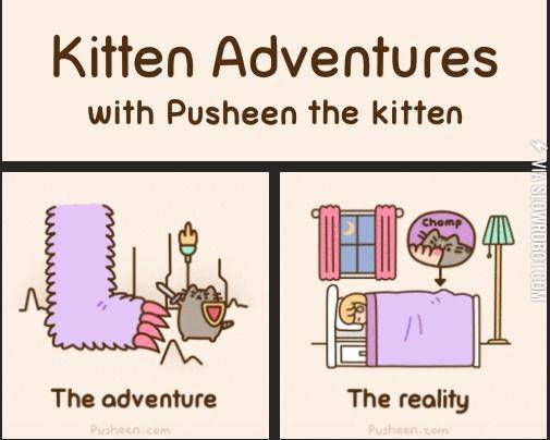 Kitten+adventures.