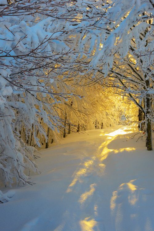 Snow+Sunrise%2C+Italy