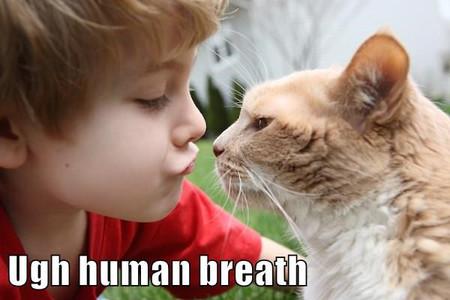 Ugh+Human+Breath