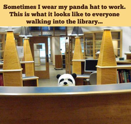 Sometimes+I+Wear+My+Panda+Hat+To+Work