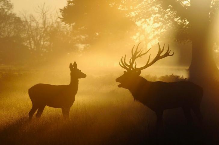 Early+Morning+Conversation