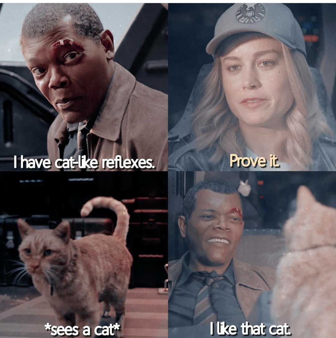 Here+kijje+kijje%26%238230%3B