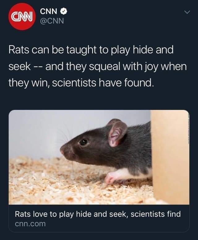 WEEEEEEEEEEEEEEEEEEEEEEEEEEEEE