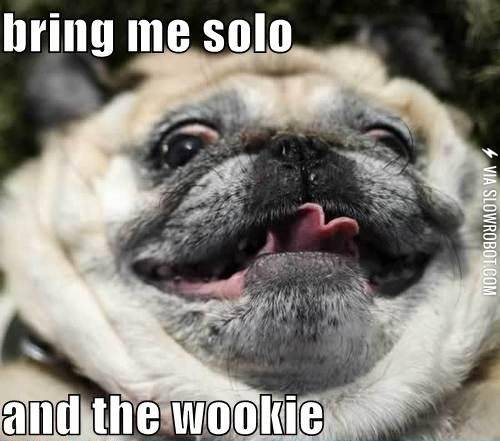 Bring+me+Solo+and+the+Wookie.