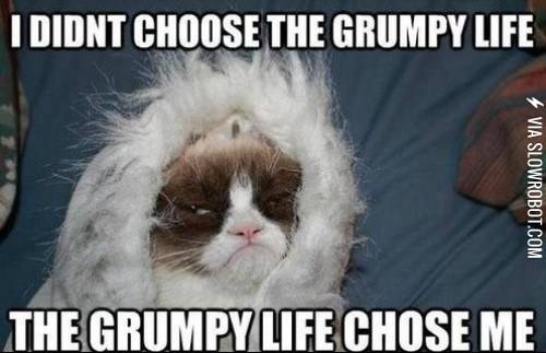 I+didn%26%238217%3Bt+choose+the+grumpy+life%26%238230%3B