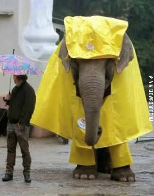 Just+an+elephant+in+a+raincoat.