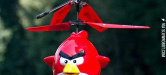 Angry+Birds+remote+control+helicopter.
