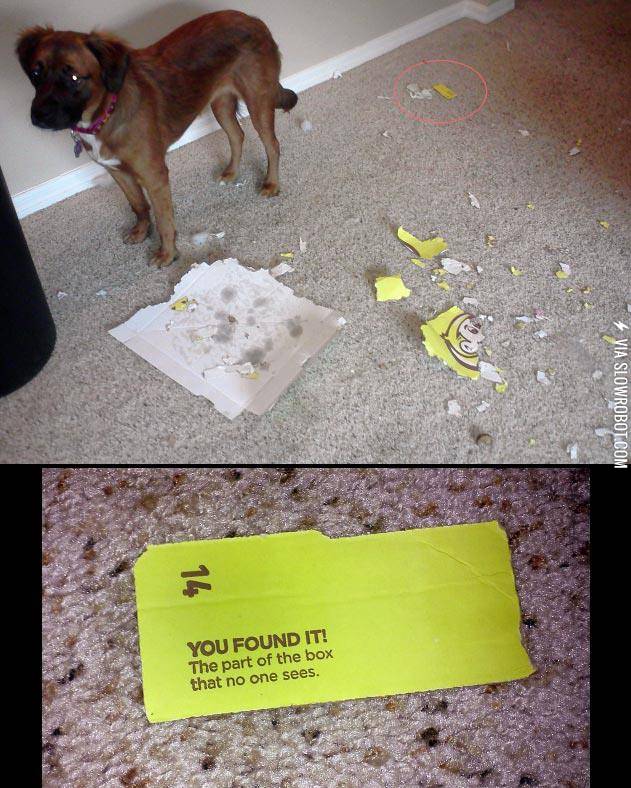 You%26%238217%3Bve+found+the+best+part%21