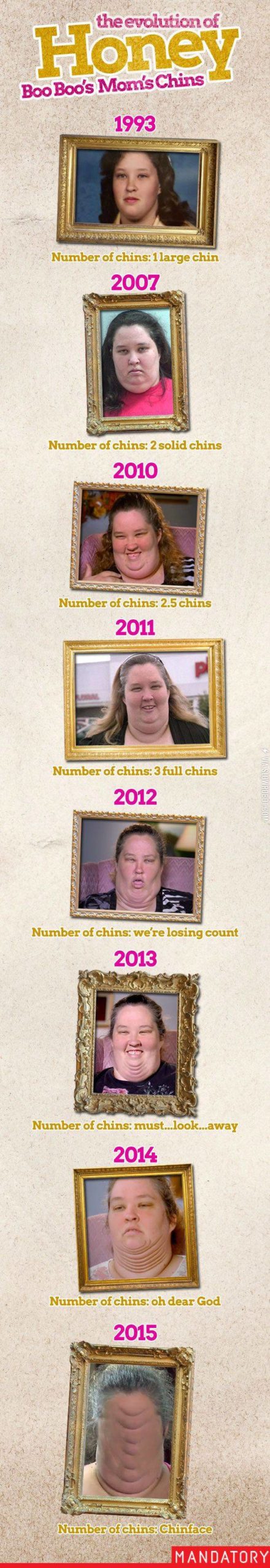 The+evolution+of+chins