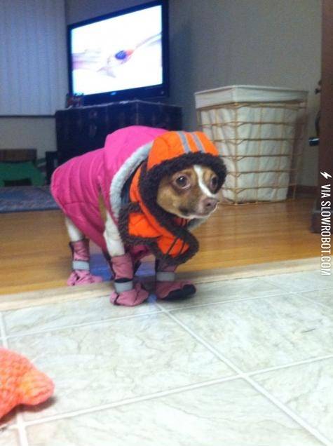 She%26%238217%3Bs+ready+for+the+snow.